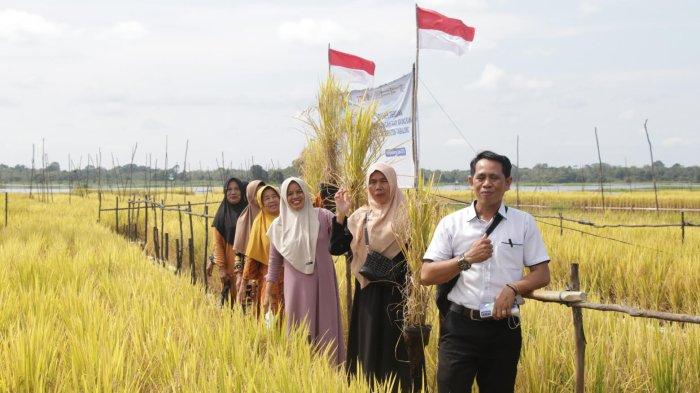Bank Indonesia Sebut Pemberlakuan Tarif Impor di AS tak Berdampak