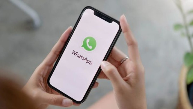 Trik WhatsApp Efektif Hemat Kuota dan Memori HP Kamu