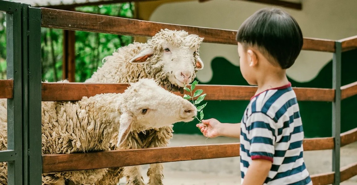 Wisata Salatiga Asyik Bersama Keluarga Tercinta