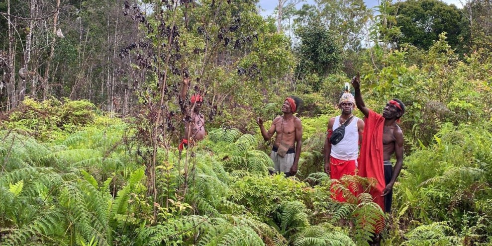 Dana Lingkungan Kemenhut Bantu Masyarakat Adat dan LSM Pelestarian Alam