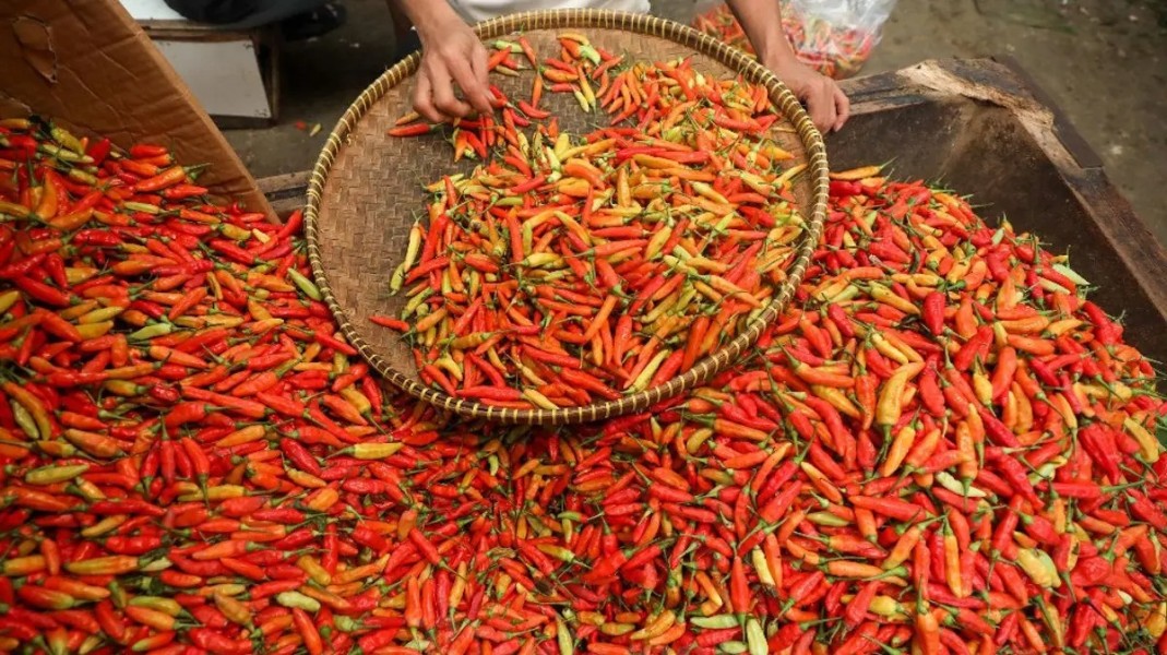 Update PIHPS Hari Ini, 7 April 2026: Cabai Rawit Hingga Beras Alami Lonjakan Harga Signifikan