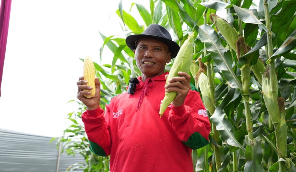 Pakde Yustam Petani Inspiratif Pati Pelopor Berbagi Ilmu