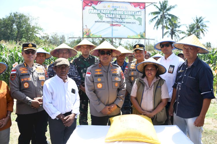 Sinergi Petani Desa Embundoa Panen Raya Jagung Program Kapolda NTT Tahun 2026