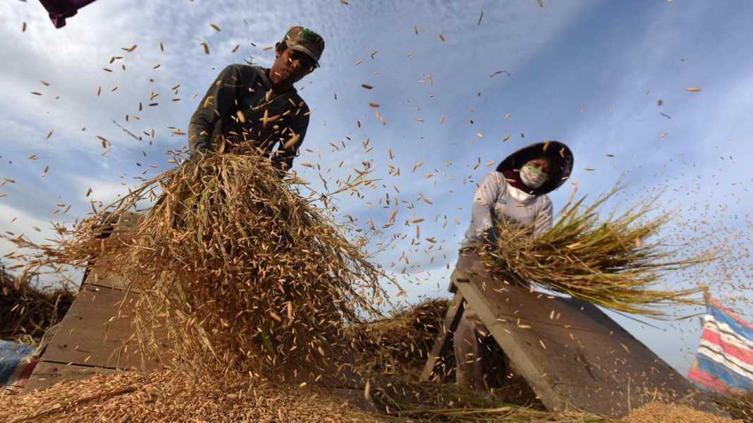 Arahan Prabowo Soal Serapan Gabah Petani Disambut Positif, Petani Harap Janji Terpenuhi