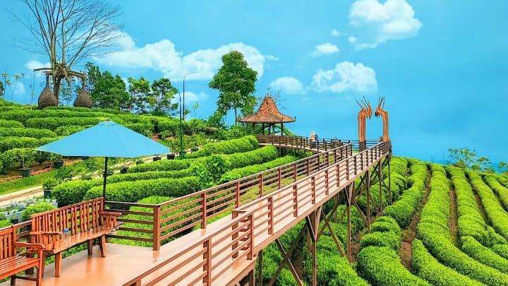 Rekomendasi 5 Wisata Akhir Tahun di Subang yang Cocok Untuk Liburan Keluarga dan Healing