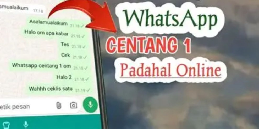 10 Cara Whatsapp Centang 1 Tapi Online Tanpa Mematikan Data