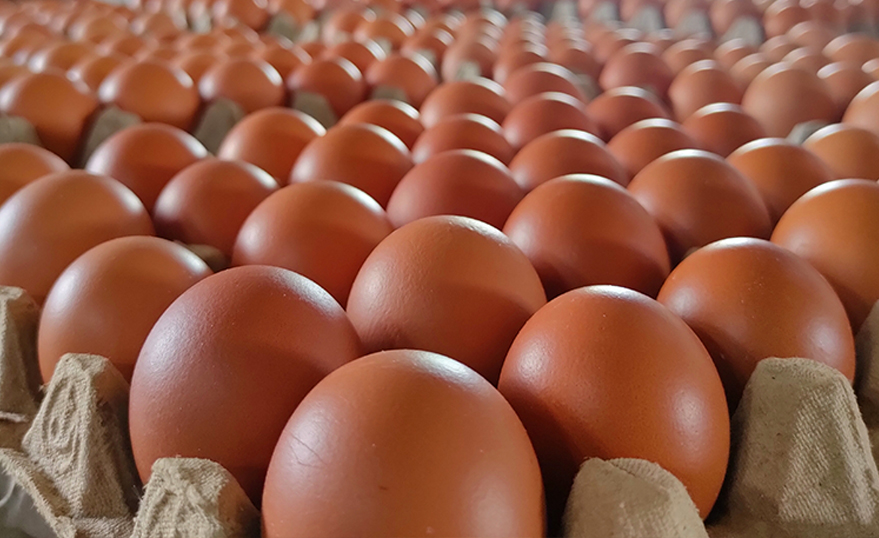 PIHPS Catat Harga Cabai Rawit Rp88.600 dan Telur Rp32.200