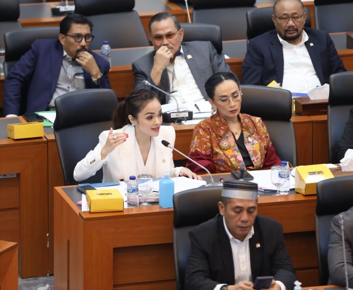 DPR Dorong Sosialisasi Masif Aturan Pembatasan Media Sosial Anak