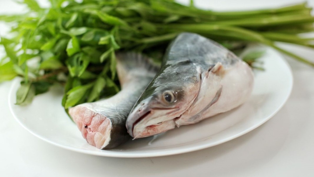 7 Tips Praktis Membersihkan Ikan Patin Agar Bebas Bau Amis