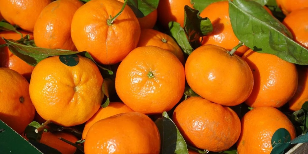 9 Buah Ajaib Penunjang Umur Panjang Versi Ahli Jantung