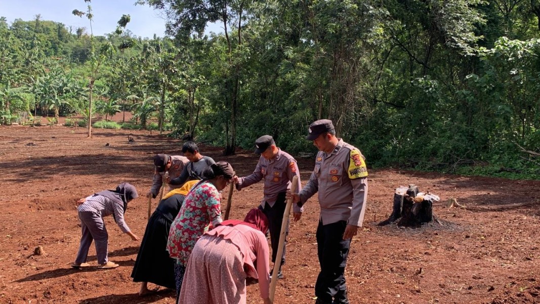 Sinergi Polsek Plered dan Petani Purwakarta Demi Kedaulatan Pangan Nasional