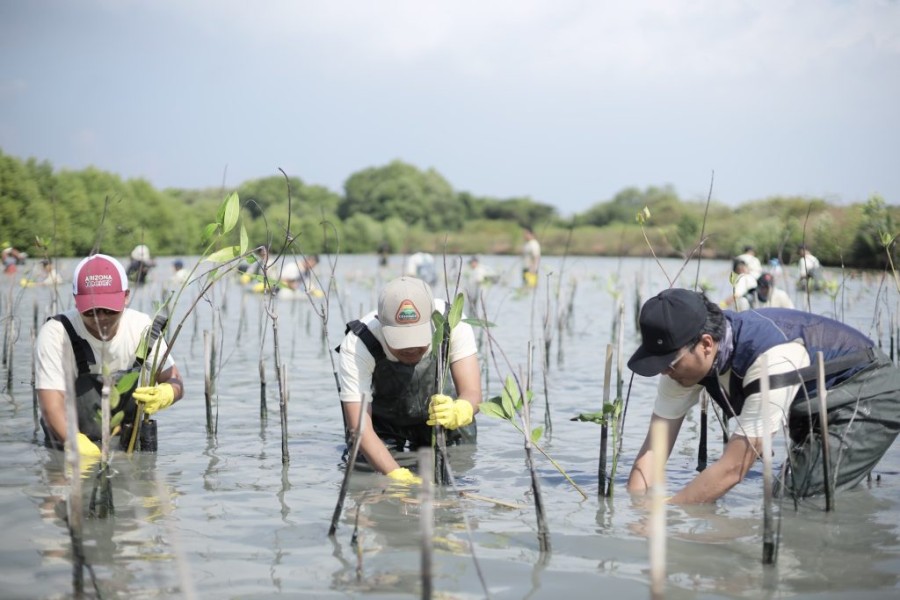 PT Freeport Indonesia Tanam 50 Ribu Mangrove di KEK Gresik untuk Lestarikan Ekosistem