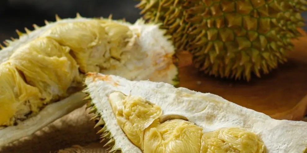 10 Rekomendasi Tempat Makan Durian Paling Favorit di Jakarta