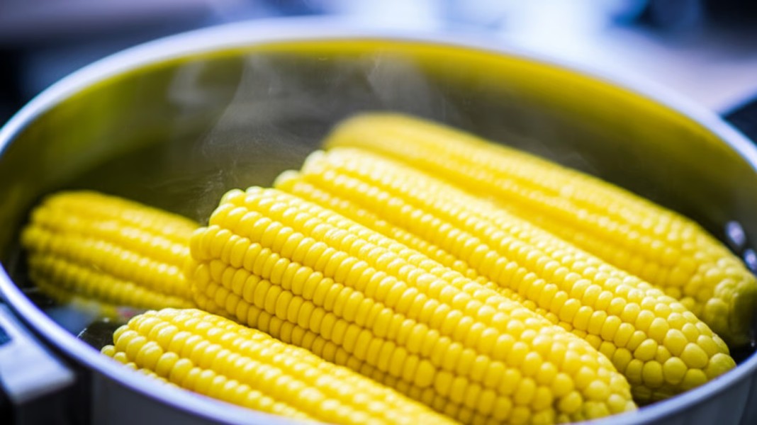 Manfaat Air Rebusan Jagung, Rahasia Alami Menjaga Tubuh Tetap Sehat dan Bugar
