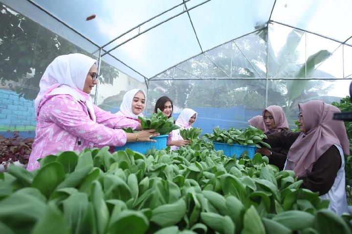 Ekonomi Urban: Pengertian, Fungsi, dan Dampaknya bagi Kota

