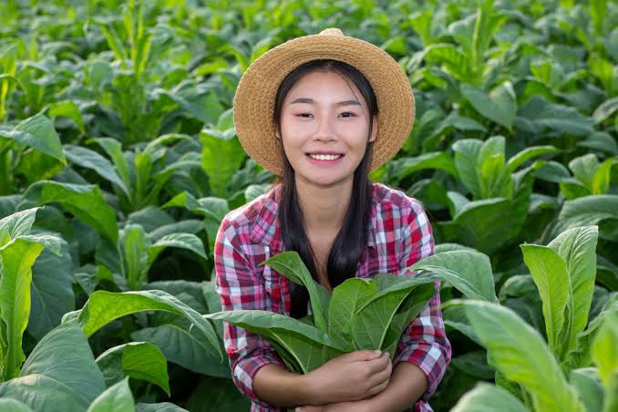 Wonogiri Siapkan Petani Muda Milenial