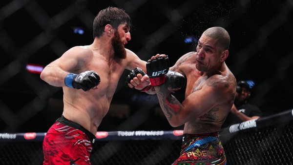 Alex Pereira Siap Rebut Gelar UFC dari Ankalaev