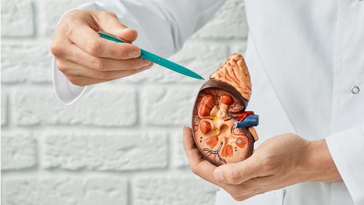 Konsumsi Seblak dan Makanan Mengandung Vetsin Berlebihan Berisiko Ganggu Kesehatan Ginjal dan Meningkatkan Penyakit Kronis