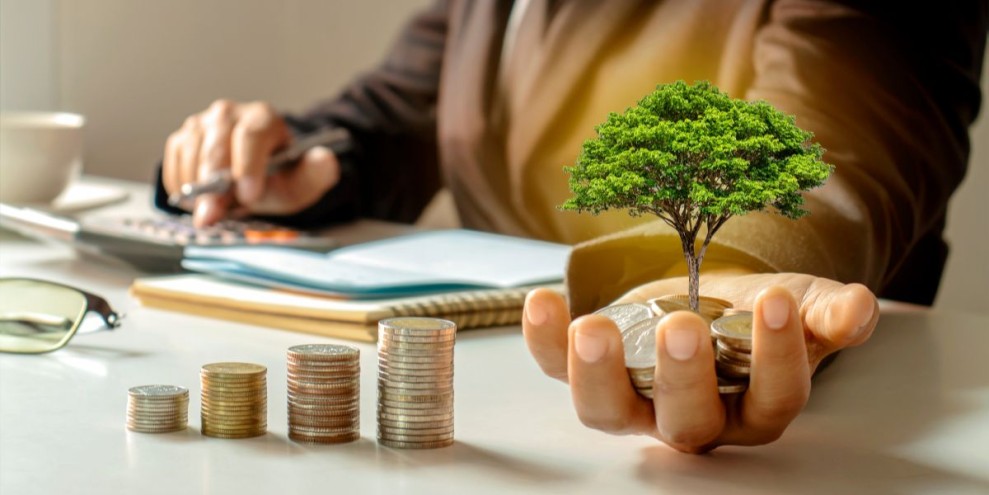 Cara Investasi Reksadana BCA untuk Pemula, Mudah dan Menguntungkan!