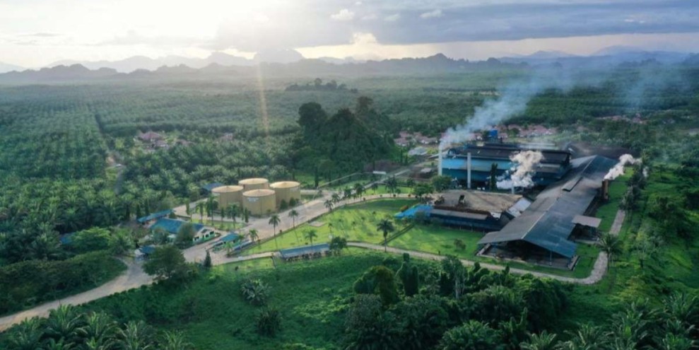 BWPT Optimistis Pertumbuhan Berkelanjutan Didukung Proyek Strategis dan Efisiensi