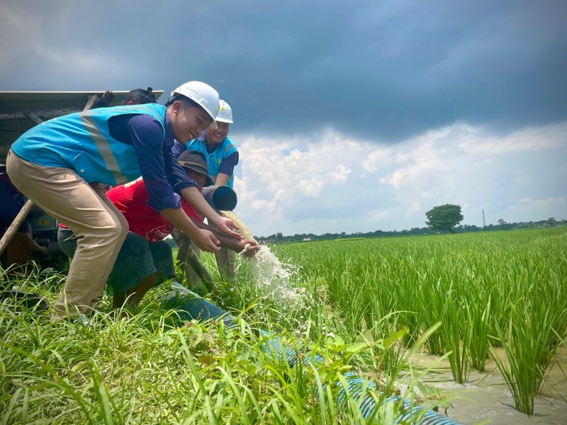 PLN Genjot Elektrifikasi Pertanian, Petani Lamongan Hemat Biaya Operasional Hingga 200 Persen