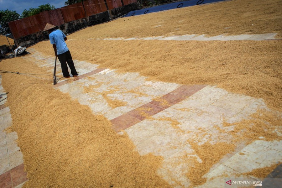 Babinsa Cengkuang Kawal Harga Gabah Petani
