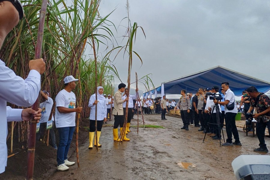 Gibran: Petani Butuh Teknologi Modern untuk Capai Swasembada Gula