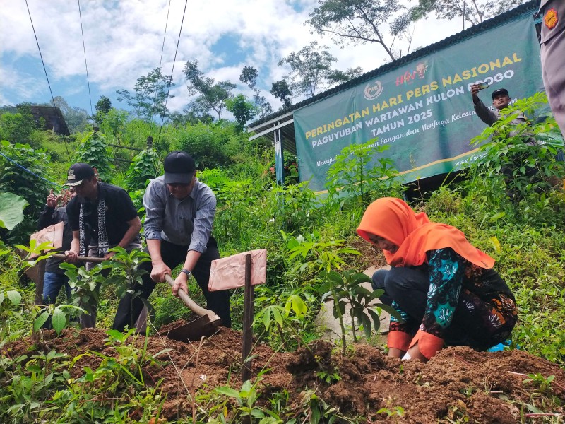 Proyek Pengeboran PT Sejahtera Alam Energi di Desa Pandansari Gagal: Inisiatif Relawan Tanam 1.500 Pohon untuk Selamatkan Hutan