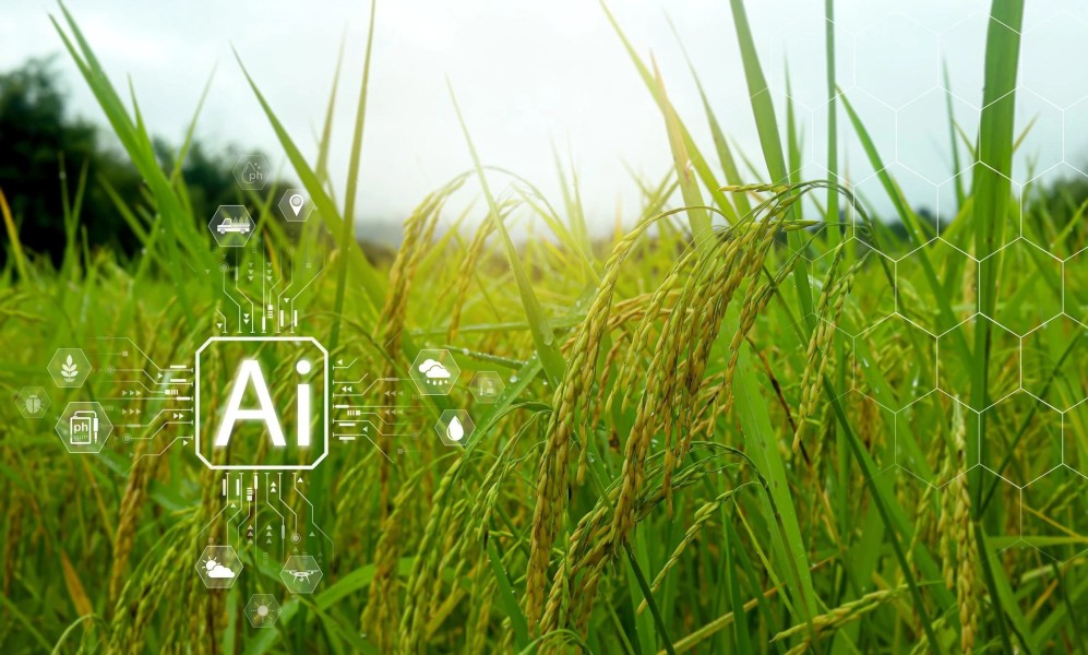 BRIN Kembangkan Sistem AI Berbasis Data untuk Ketahanan Pangan Nasional