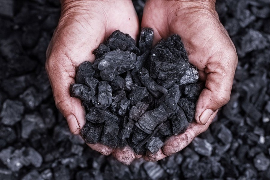 Harga Batu Bara dan Mineral Utama Menguat November 2025