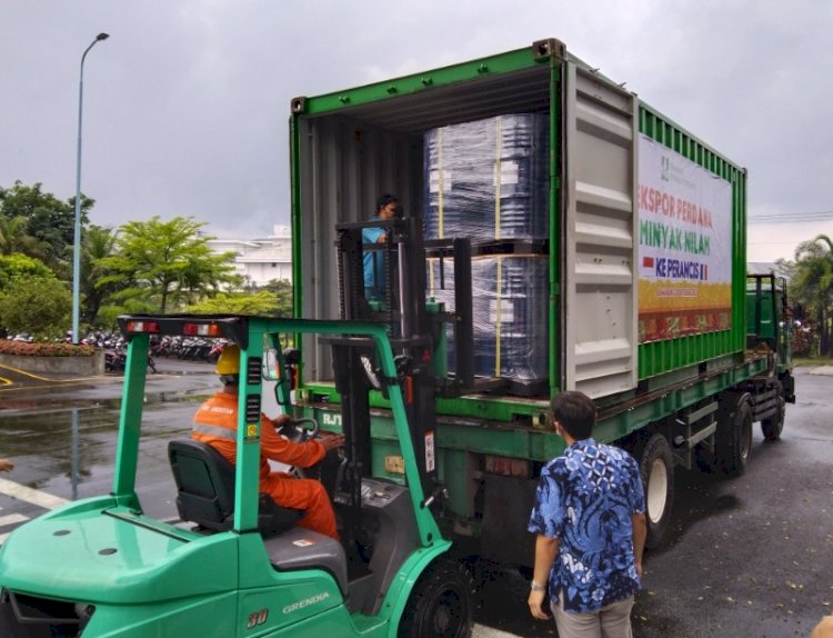 Minyak Nilam Aceh Tembus Pasar Eropa, Ekspor Perdana Langsung dari Bandara SIM ke Prancis Senilai Rp 1,5 Miliar