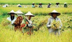 Petani Masih Terpinggirkan