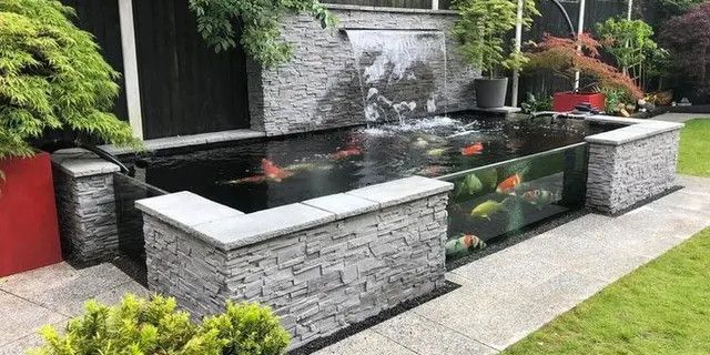 8 Rekomendasi Desain Kolam Ikan Minimalis di Lahan Sempit
