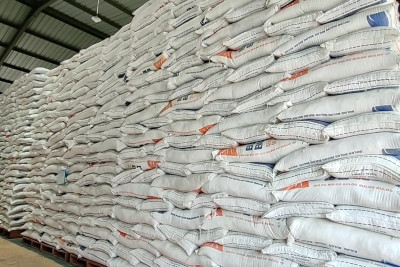 Dirut Bulog Pastikan Stok Beras Nasional Aman hingga Imlek, Ramadhan, Idul Fitri 2026