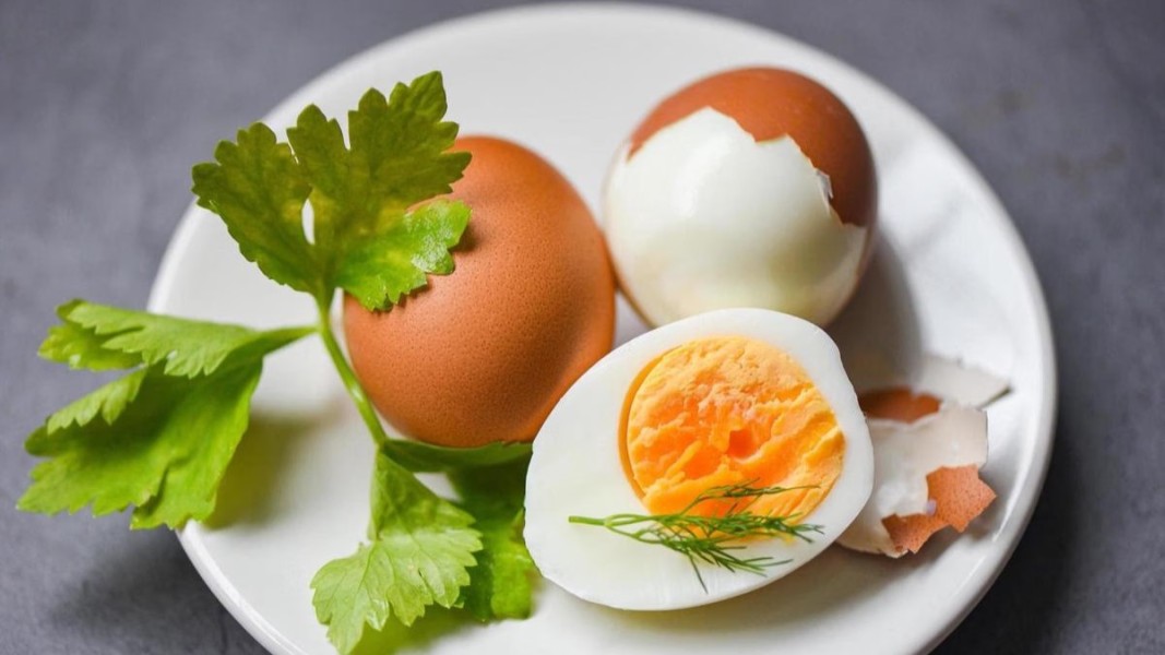 Keunggulan Telur Kukus untuk Hidangan Lezat, Lembut, dan Cantik di Meja Makan