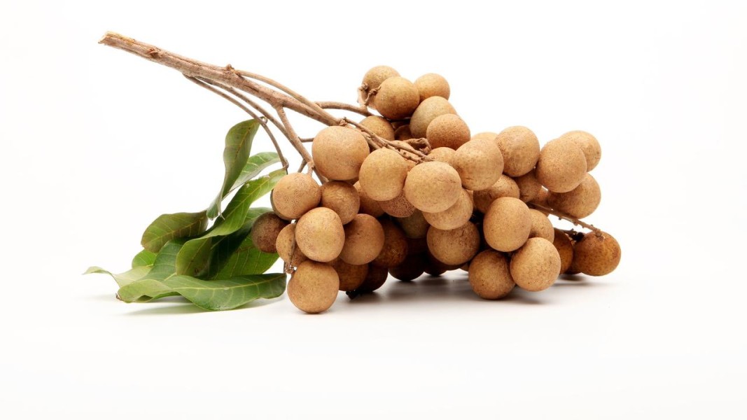 Manfaat Buah Kelengkeng untuk Pencernaan Imunitas dan Pencegahan Penyakit Kronis