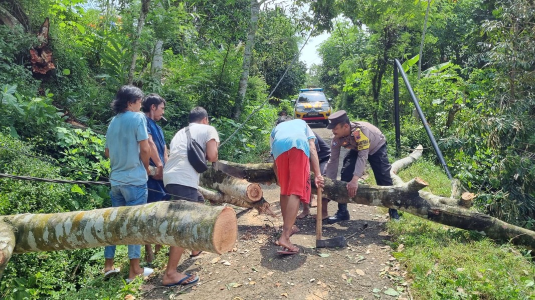 Jalan Terputus dan Listrik Padam: Respons Cepat Polisi Atasi Dampak Pohon Tumbang di Aceh Barat