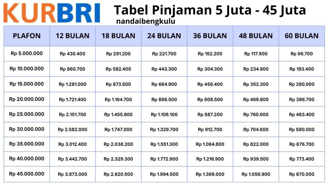 Bank BRI Salurkan KUR 2025: Kesempatan Emas bagi UMKM dengan Proses Mudah dan Suku Bunga Rendah