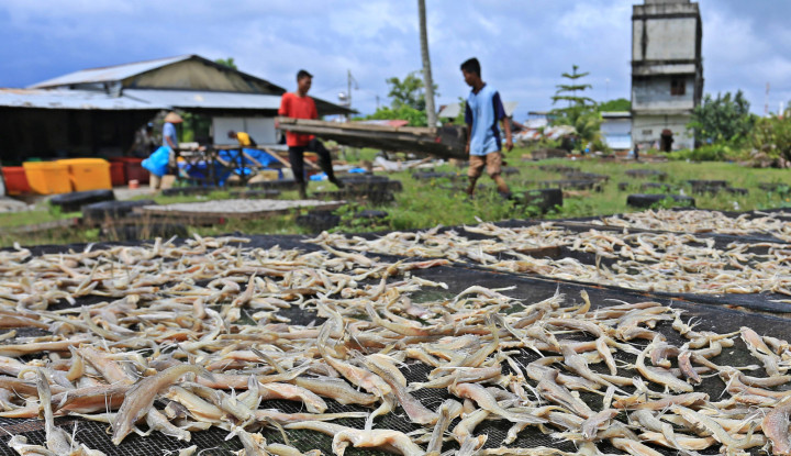 MIND ID Dorong Budidaya Ikan untuk Nelayan