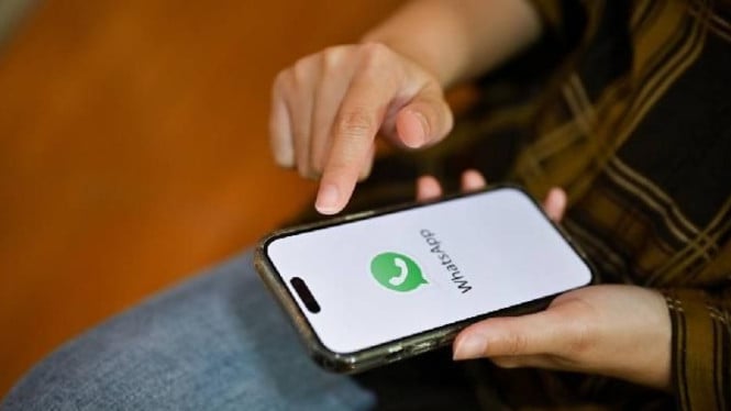 Panduan Mencegah Unduhan Otomatis Media di WhatsApp