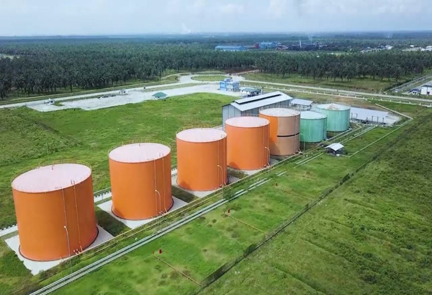 Harga CPO Naik Signifikan di KPBN Inacom dan Bursa Malaysia, Didorong Lonjakan Harga Minyak Mentah Global