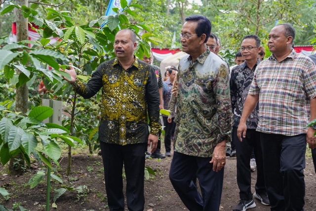 Panen Perdana Kopi Merapi, Sleman Genjot Wisata Alam