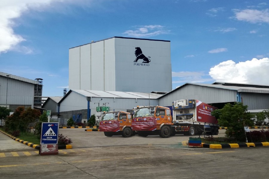 Prospek Saham CPIN 2026 Tetap Menarik Ditopang Katalis Laba