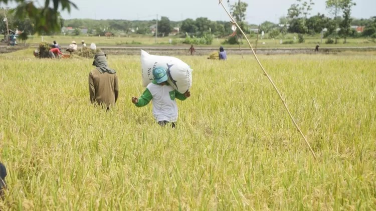 HGII Perkuat Kapasitas Petani Demi Ketahanan Pangan Nasional