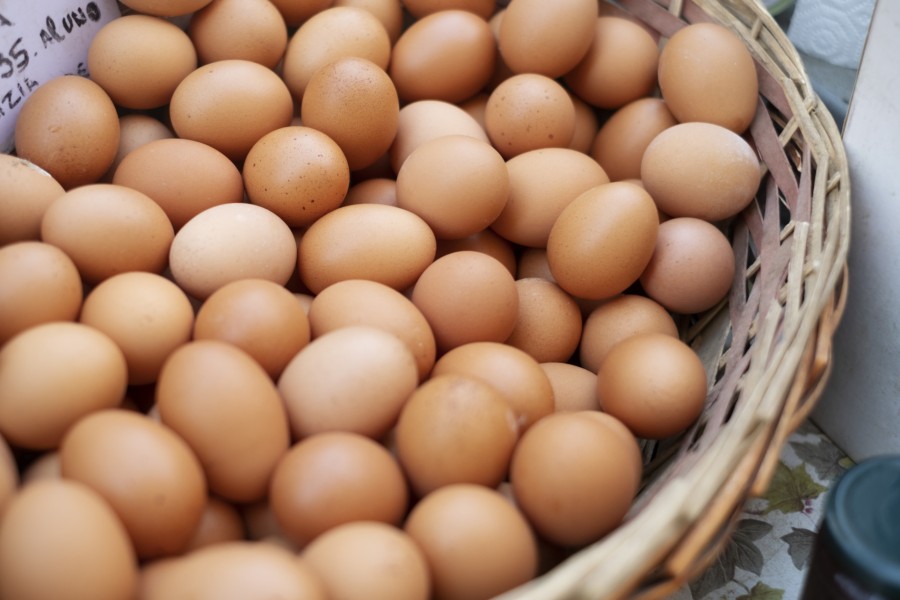 Peluang Bisnis Telur Ayam, Cara Melakukan, dan Risikonya