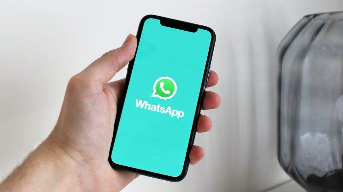 Buat Stiker WhatsApp Bergerak Sendiri Tanpa Biaya Tambahan