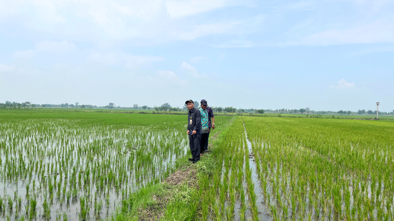 Hari Kedua Pendataan Awal Lokasi Rencana Pembangunan SUTT 150 kV Pati-Pati II/Trangkil