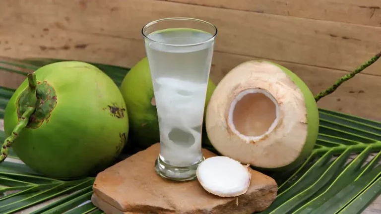 Waktu Tepat Minum Air Kelapa Selama Ramadan Agar Tubuh Lebih Segar