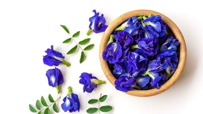 Deretan Bunga Cantik yang Aman Dikonsumsi dan Kaya Manfaat Bagi Kesehatan Tubuh