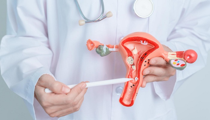 Dokter Beri Penjelasan Jelas Soal Kanker Serviks dan Bayi
